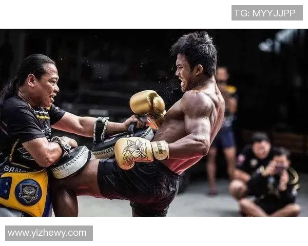 播求与日本搏击选手的巅峰对决谁将赢得这场荣耀之战
