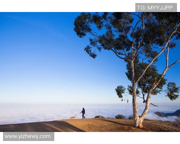 探索阿拉巴的魅力与文化深度，揭开这片土地的历史与未来发展之路